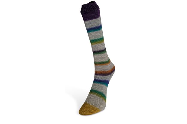 Laines du Nord Art Sock siūlai 03